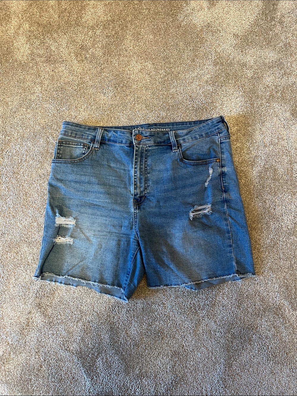 Classic Distressed Blue Denim Women's Shorts
